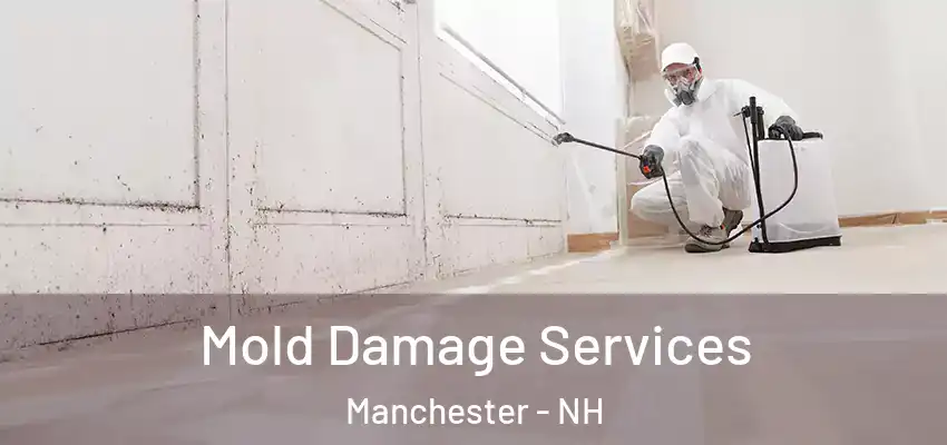  Mold Damage Services Manchester - NH