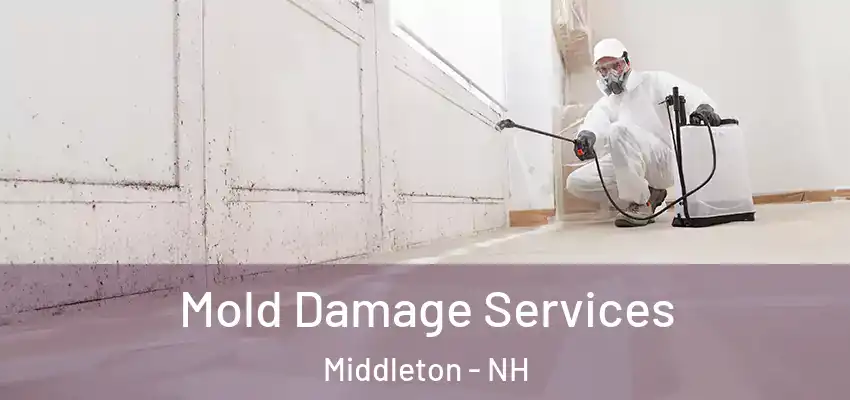  Mold Damage Services Middleton - NH