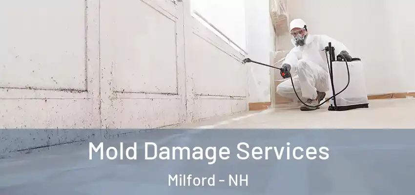  Mold Damage Services Milford - NH