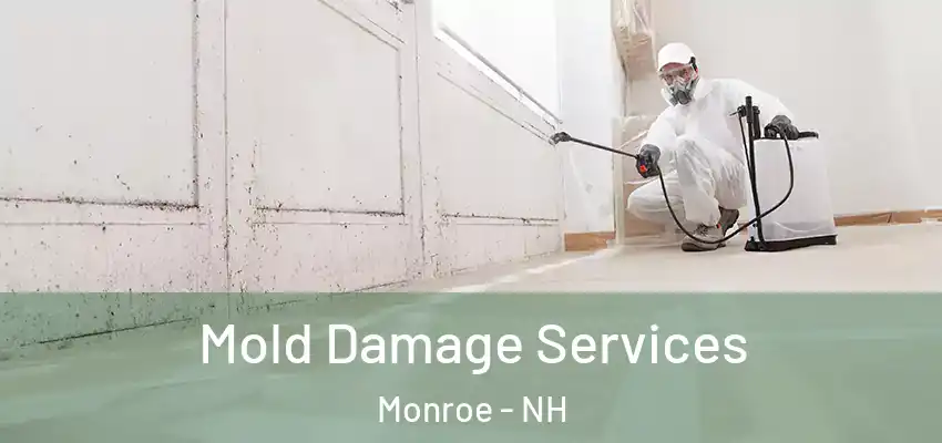  Mold Damage Services Monroe - NH