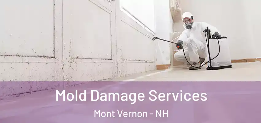  Mold Damage Services Mont Vernon - NH