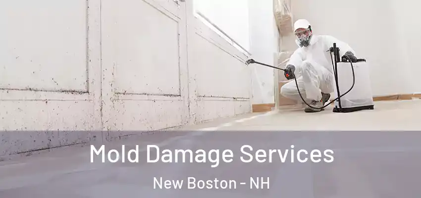  Mold Damage Services New Boston - NH