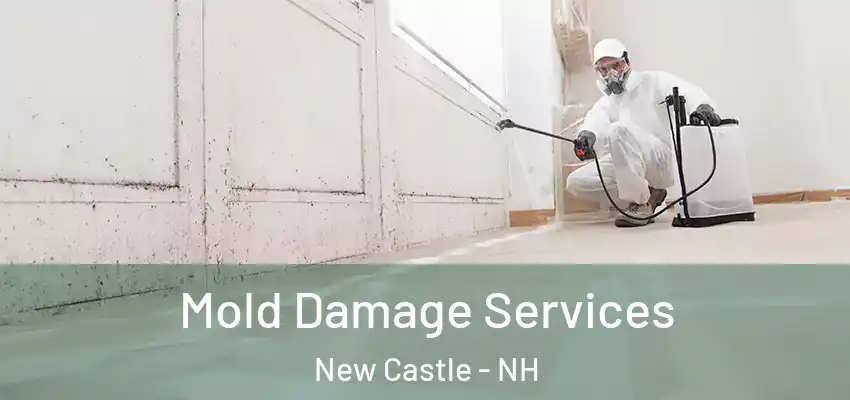  Mold Damage Services New Castle - NH