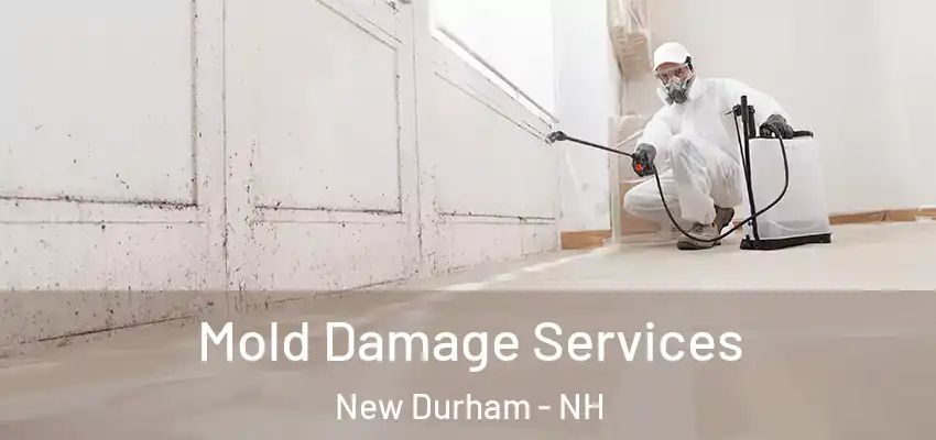  Mold Damage Services New Durham - NH