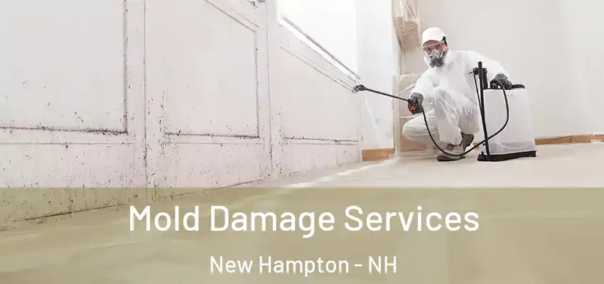  Mold Damage Services New Hampton - NH