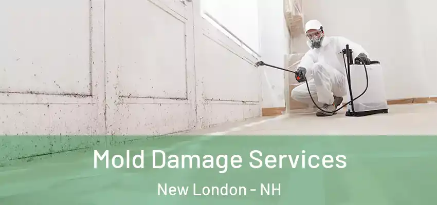  Mold Damage Services New London - NH