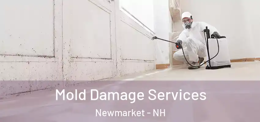  Mold Damage Services Newmarket - NH