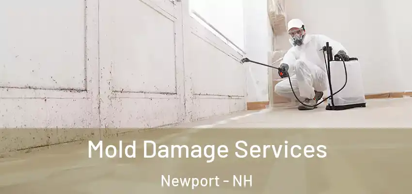  Mold Damage Services Newport - NH
