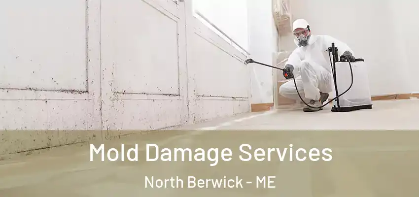  Mold Damage Services North Berwick - ME