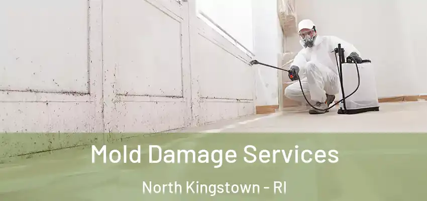  Mold Damage Services North Kingstown - RI