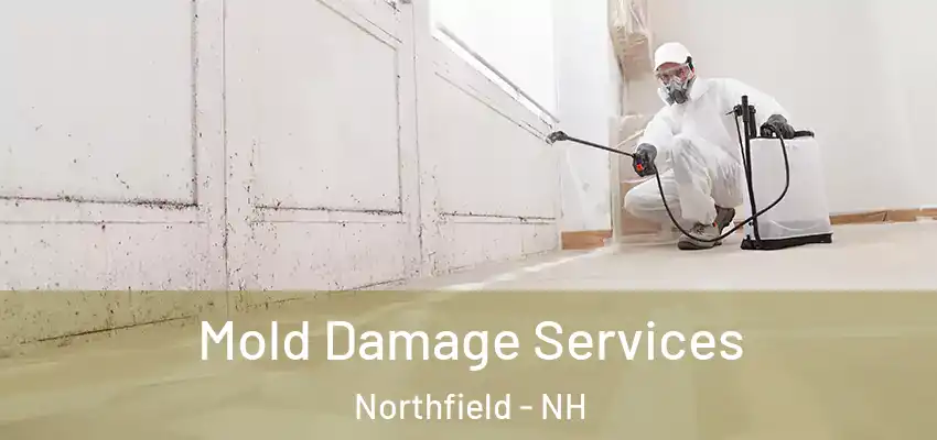  Mold Damage Services Northfield - NH