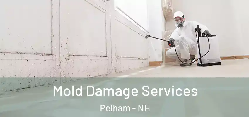  Mold Damage Services Pelham - NH
