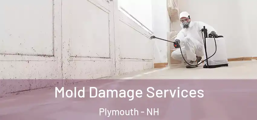  Mold Damage Services Plymouth - NH