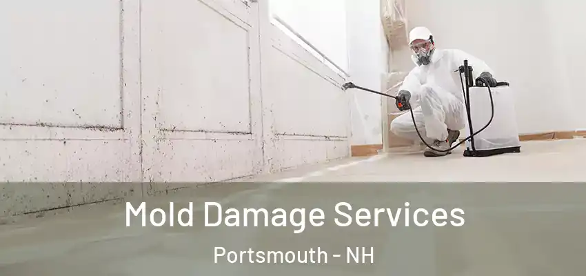  Mold Damage Services Portsmouth - NH