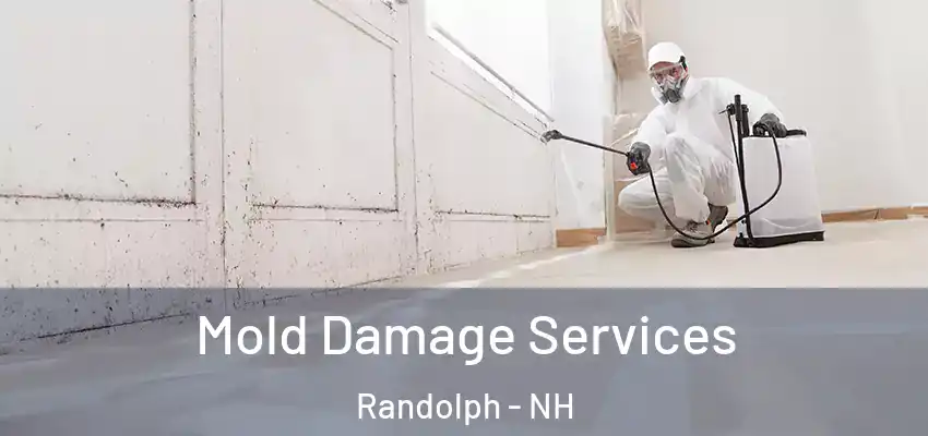  Mold Damage Services Randolph - NH