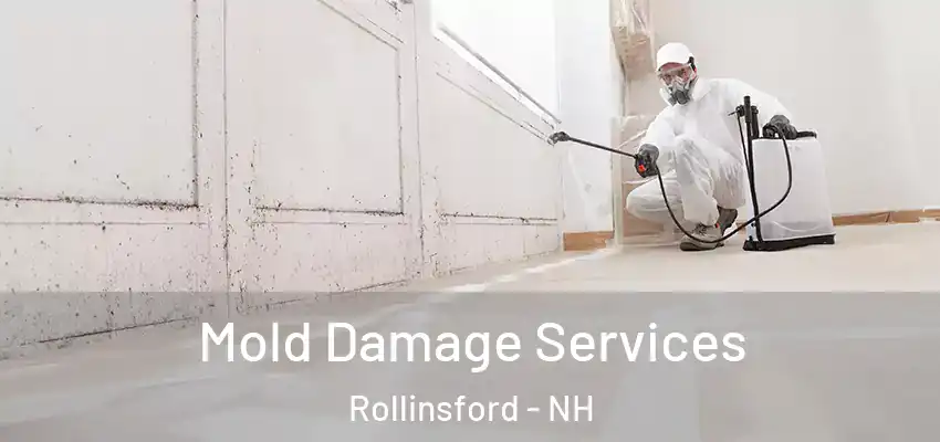  Mold Damage Services Rollinsford - NH
