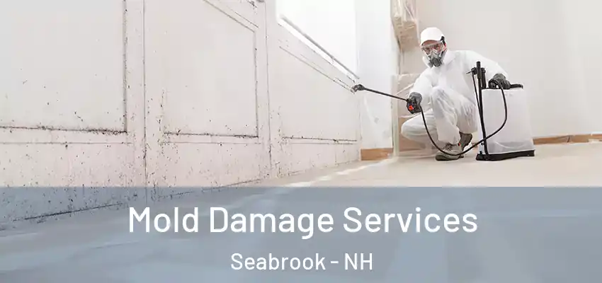  Mold Damage Services Seabrook - NH