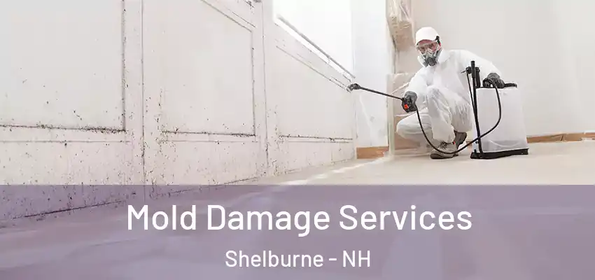 Mold Damage Services Shelburne - NH
