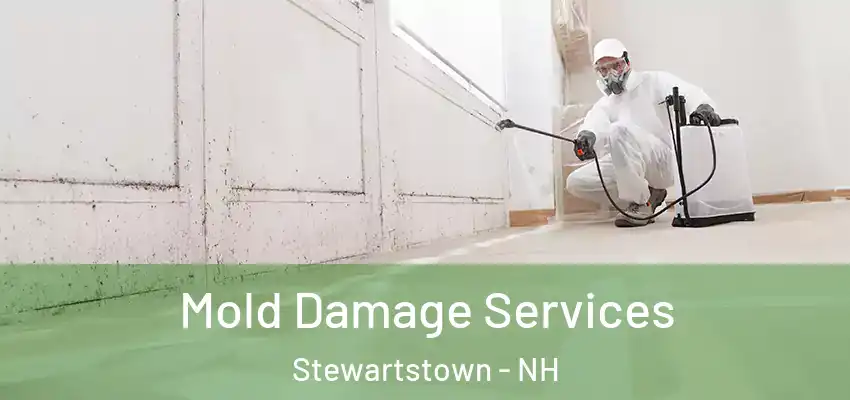  Mold Damage Services Stewartstown - NH