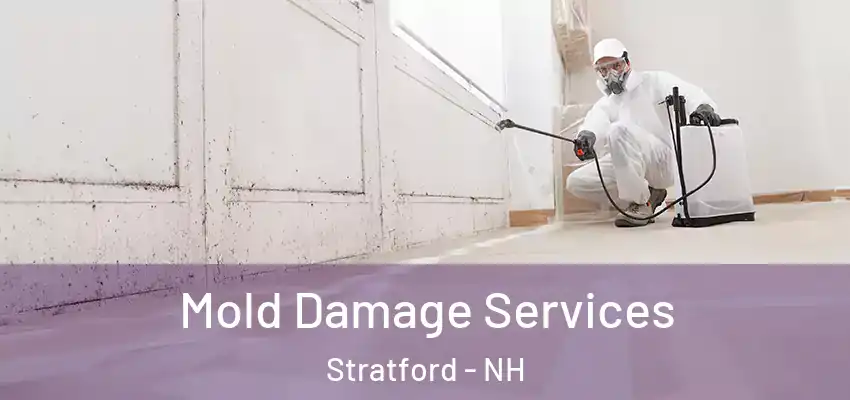 Mold Damage Services Stratford - NH