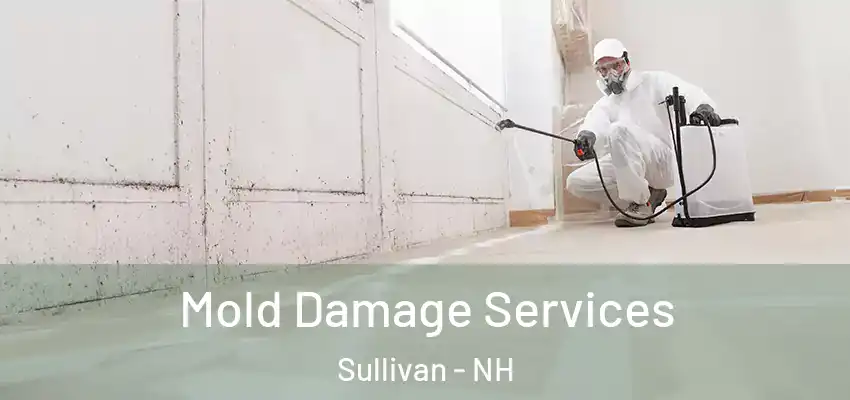  Mold Damage Services Sullivan - NH