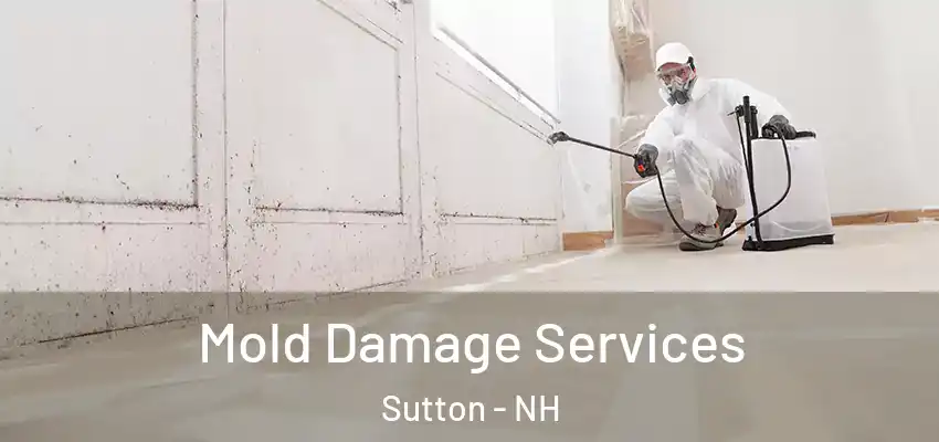  Mold Damage Services Sutton - NH