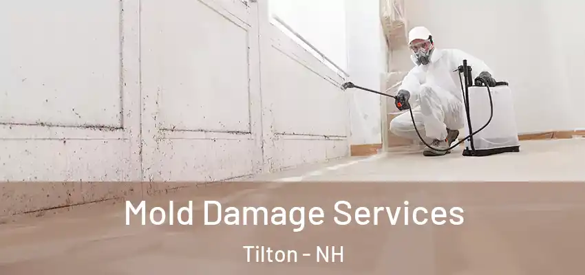  Mold Damage Services Tilton - NH