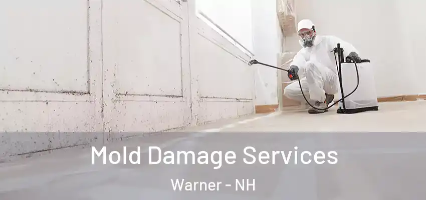  Mold Damage Services Warner - NH