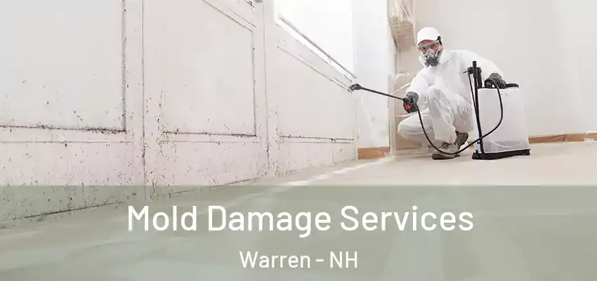  Mold Damage Services Warren - NH