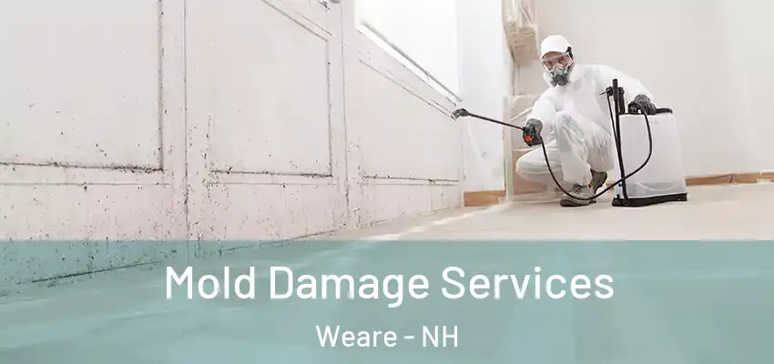  Mold Damage Services Weare - NH