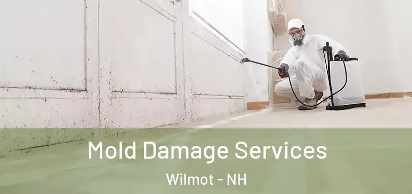 Mold Damage Services Wilmot - NH
