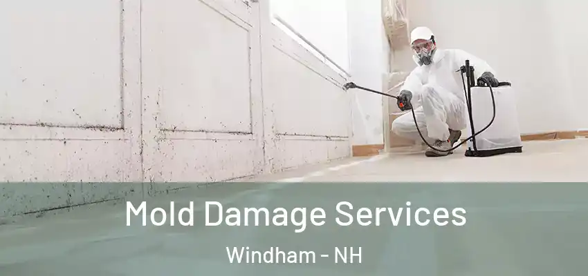  Mold Damage Services Windham - NH
