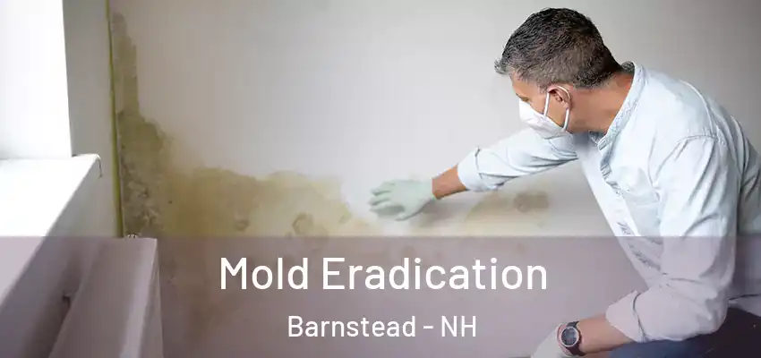  Mold Eradication Barnstead - NH