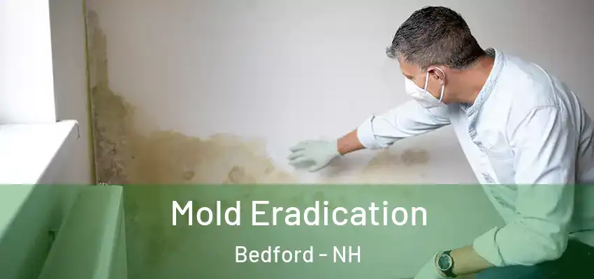  Mold Eradication Bedford - NH