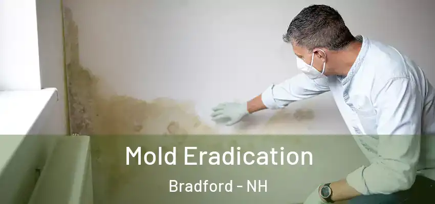  Mold Eradication Bradford - NH