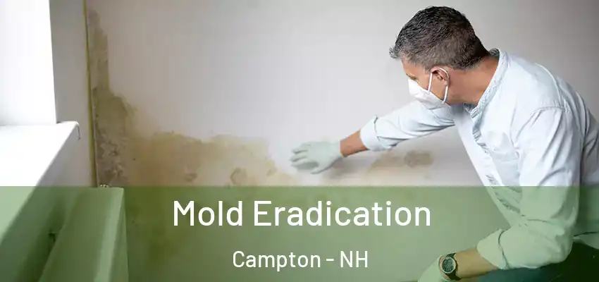  Mold Eradication Campton - NH