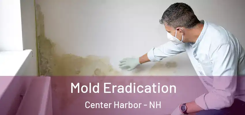 Mold Eradication Center Harbor - NH