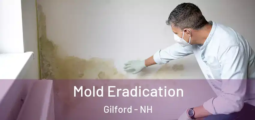 Mold Eradication Gilford - NH