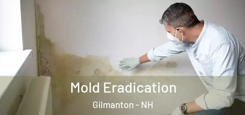  Mold Eradication Gilmanton - NH