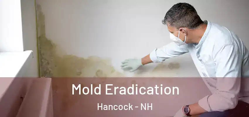  Mold Eradication Hancock - NH