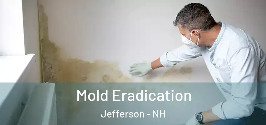  Mold Eradication Jefferson - NH
