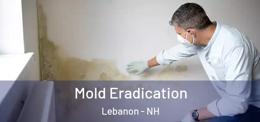 Mold Eradication Lebanon - NH