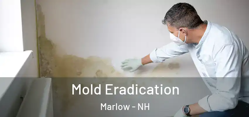  Mold Eradication Marlow - NH