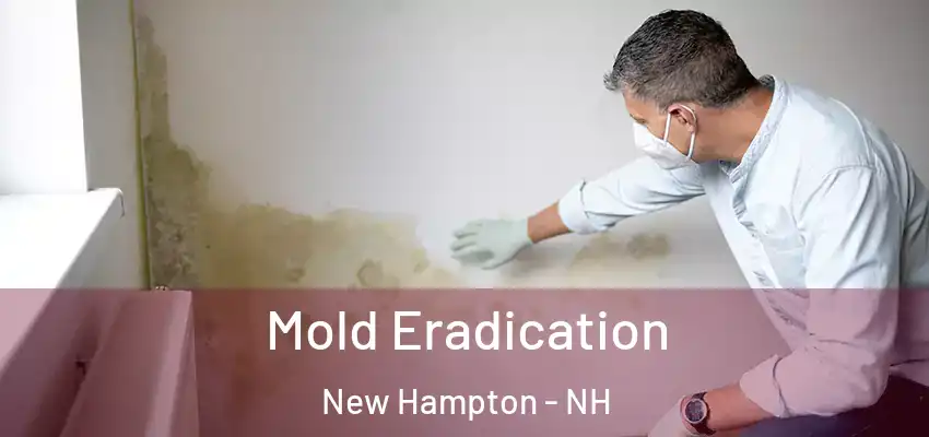  Mold Eradication New Hampton - NH