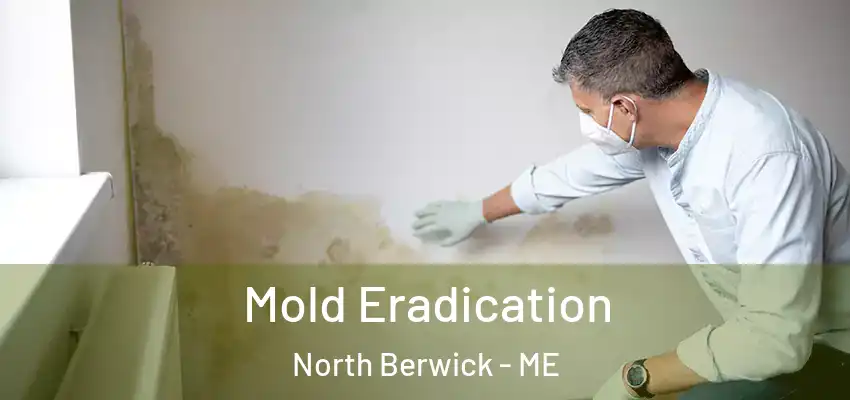  Mold Eradication North Berwick - ME