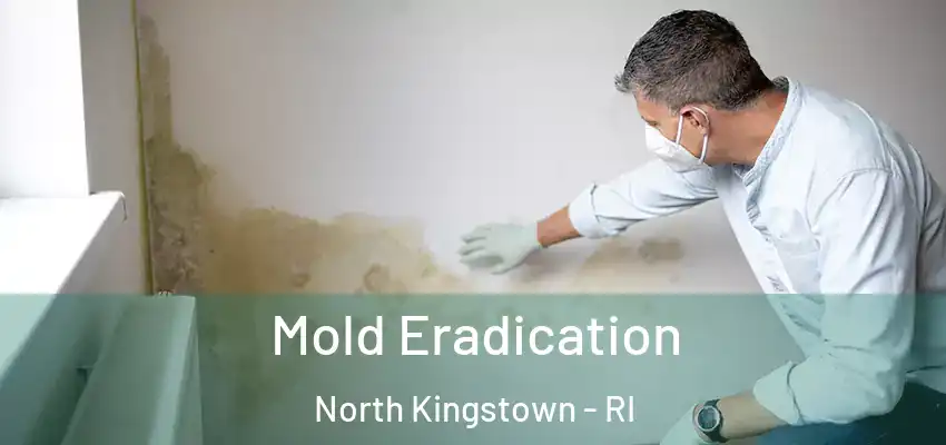  Mold Eradication North Kingstown - RI