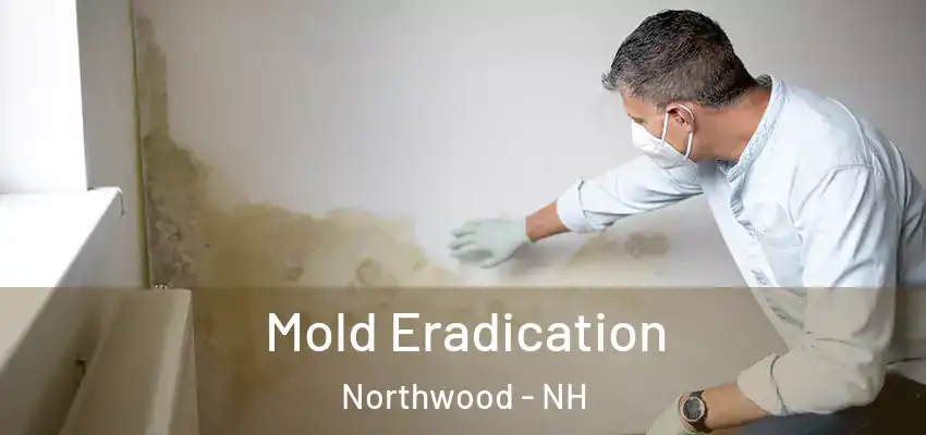 Mold Eradication Northwood - NH