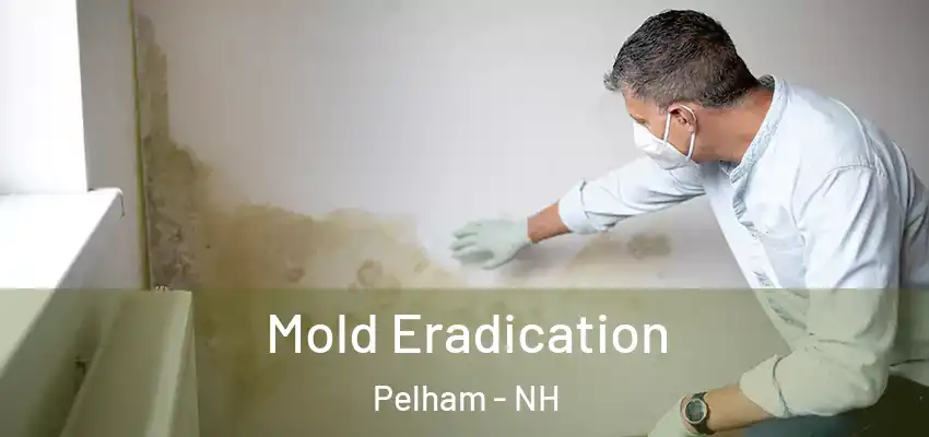  Mold Eradication Pelham - NH