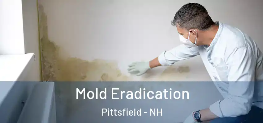  Mold Eradication Pittsfield - NH
