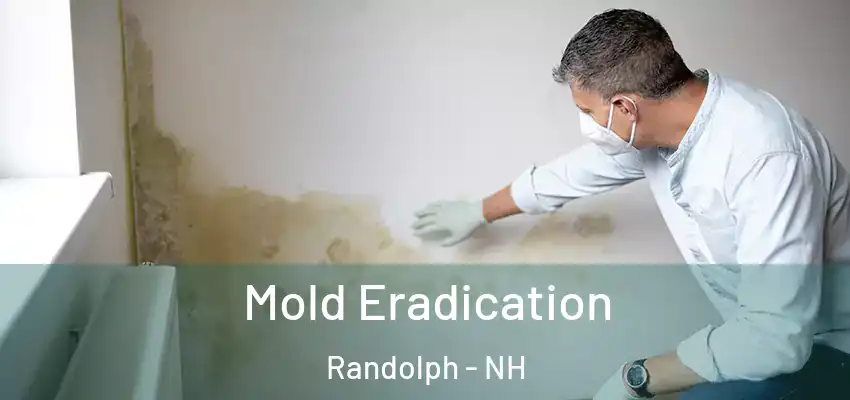  Mold Eradication Randolph - NH